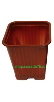 р9 форм